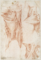 A 042 recto
<br/>
Nek- en schouderstudie van achter en zijkant gezien
<br/>
<em>Michelangelo Buonarroti (1475-1564)</em>